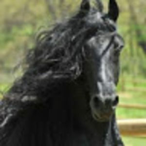 Meet your Posher, Malgorzata